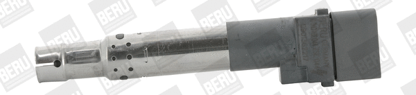 Uždegimo ritė BorgWarner (BERU) ZSE044