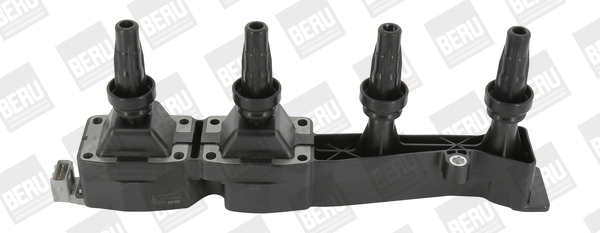 Uždegimo ritė BorgWarner (BERU) ZSE045
