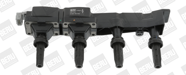 Uždegimo ritė BorgWarner (BERU) ZSE046