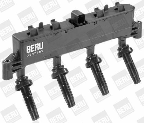 Uždegimo ritė BorgWarner (BERU) ZSE048