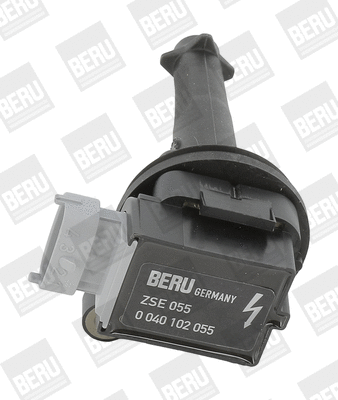 Uždegimo ritė BorgWarner (BERU) ZSE055