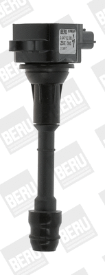 Uždegimo ritė BorgWarner (BERU) ZSE080