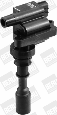 Uždegimo ritė BorgWarner (BERU) ZSE087
