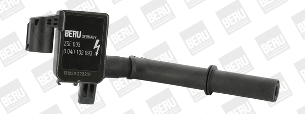 Uždegimo ritė BorgWarner (BERU) ZSE093