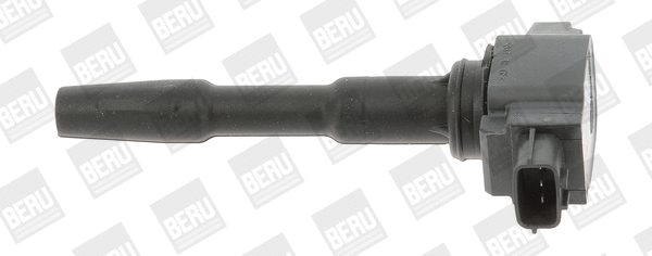 Uždegimo ritė BorgWarner (BERU) ZSE131