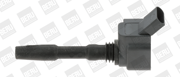 Uždegimo ritė BorgWarner (BERU) ZSE137