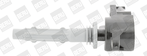 Uždegimo ritė BorgWarner (BERU) ZSE140