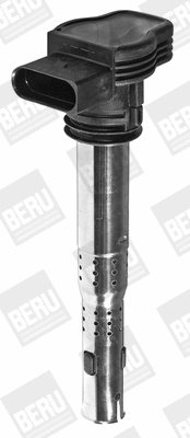 Uždegimo ritė BorgWarner (BERU) ZSE142