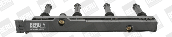 Uždegimo ritė BorgWarner (BERU) ZSE150
