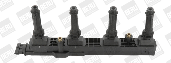 Uždegimo ritė BorgWarner (BERU) ZSE151