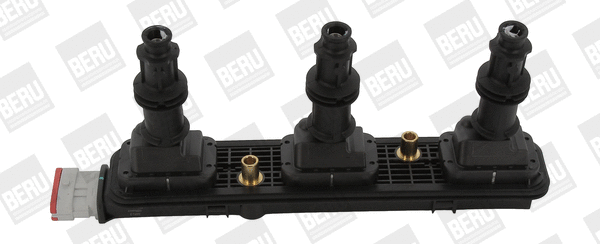 Uždegimo ritė BorgWarner (BERU) ZSE153