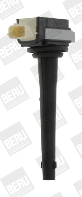 Uždegimo ritė BorgWarner (BERU) ZSE161