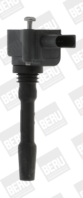 Uždegimo ritė BorgWarner (BERU) ZSE163