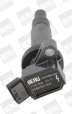 Uždegimo ritė BorgWarner (BERU) ZSE164