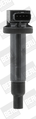 Uždegimo ritė BorgWarner (BERU) ZSE165