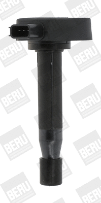 Uždegimo ritė BorgWarner (BERU) ZSE166