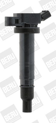 Uždegimo ritė BorgWarner (BERU) ZSE167