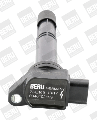 Uždegimo ritė BorgWarner (BERU) ZSE169
