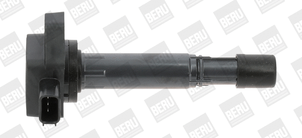 Uždegimo ritė BorgWarner (BERU) ZSE170