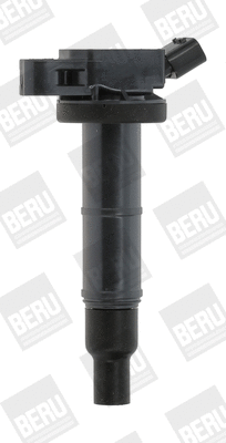Uždegimo ritė BorgWarner (BERU) ZSE171