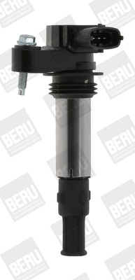Uždegimo ritė BorgWarner (BERU) ZSE174
