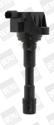 Uždegimo ritė BorgWarner (BERU) ZSE176