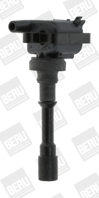Uždegimo ritė BorgWarner (BERU) ZSE178