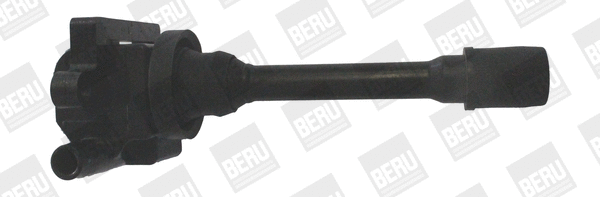 Uždegimo ritė BorgWarner (BERU) ZSE179