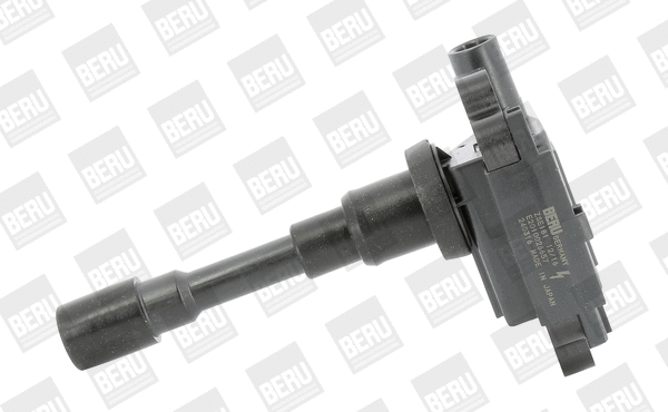 Uždegimo ritė BorgWarner (BERU) ZSE181