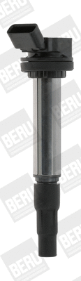 Uždegimo ritė BorgWarner (BERU) ZSE184