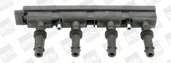 Uždegimo ritė BorgWarner (BERU) ZSE185