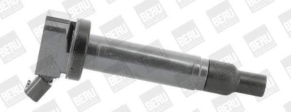 Uždegimo ritė BorgWarner (BERU) ZSE187