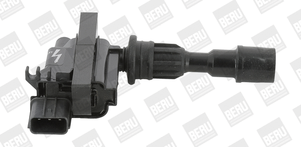 Uždegimo ritė BorgWarner (BERU) ZSE190