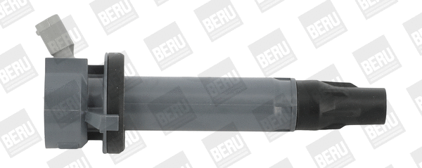 Uždegimo ritė BorgWarner (BERU) ZSE194
