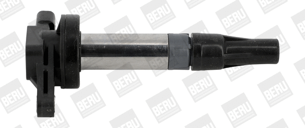 Uždegimo ritė BorgWarner (BERU) ZSE196