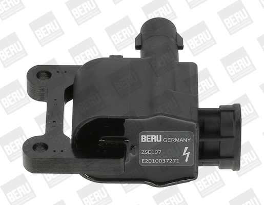 Uždegimo ritė BorgWarner (BERU) ZSE197