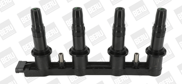 Uždegimo ritė BorgWarner (BERU) ZSE198
