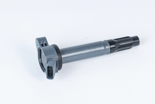 Uždegimo ritė BorgWarner (BERU) ZSE202