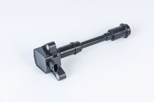 Uždegimo ritė BorgWarner (BERU) ZSE203