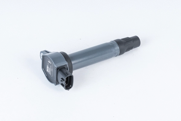 Uždegimo ritė BorgWarner (BERU) ZSE207