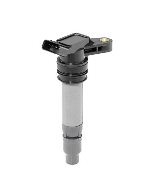 Uždegimo ritė BorgWarner (BERU) ZSE209