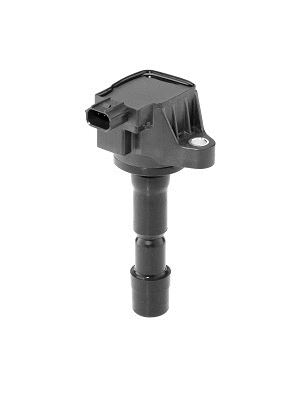 Uždegimo ritė BorgWarner (BERU) ZSE210