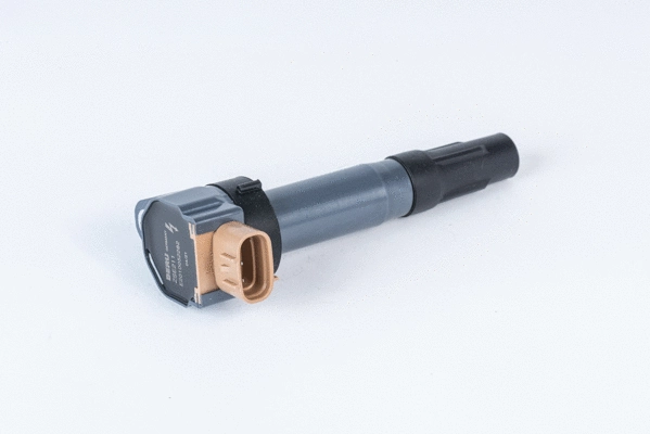 Uždegimo ritė BorgWarner (BERU) ZSE211