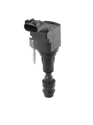 Uždegimo ritė BorgWarner (BERU) ZSE212
