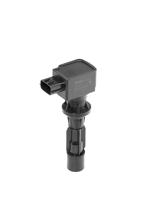 Uždegimo ritė BorgWarner (BERU) ZSE217