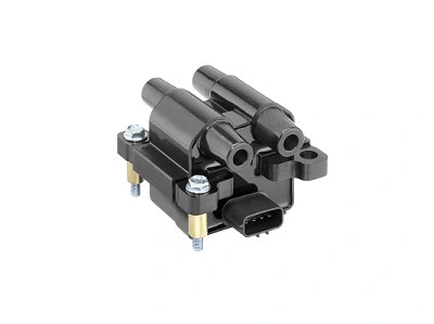 Uždegimo ritė BorgWarner (BERU) ZSE218