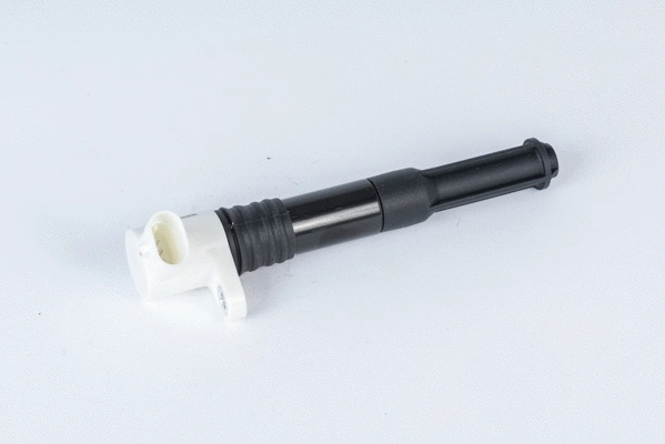Uždegimo ritė BorgWarner (BERU) ZSE219