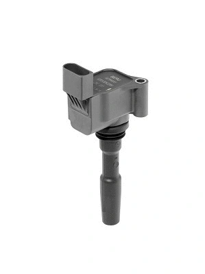 Uždegimo ritė BorgWarner (BERU) ZSE223