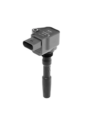 Uždegimo ritė BorgWarner (BERU) ZSE224