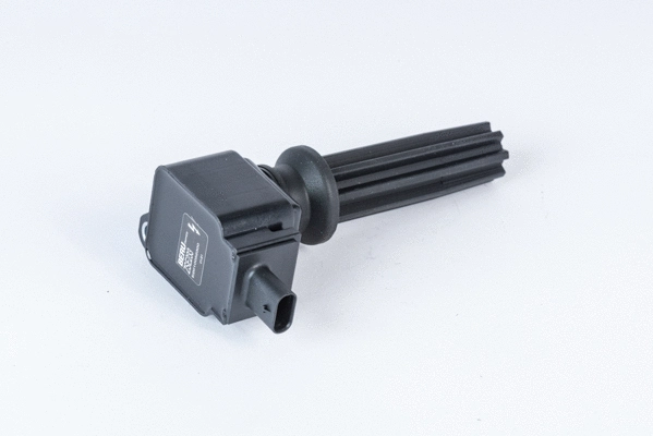 Uždegimo ritė BorgWarner (BERU) ZSE233